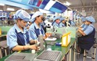 152 Standards on occupational hygiene for chemical factors in the working environment in Vietnam (proposed)