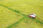 Criteria and conditions for repurposing rice cultivation land in Vietnam