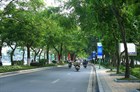 General provisions on urban green tree planting and tending in Vietnam