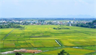 Basis, content, and form of specialized land examination in Vietnam