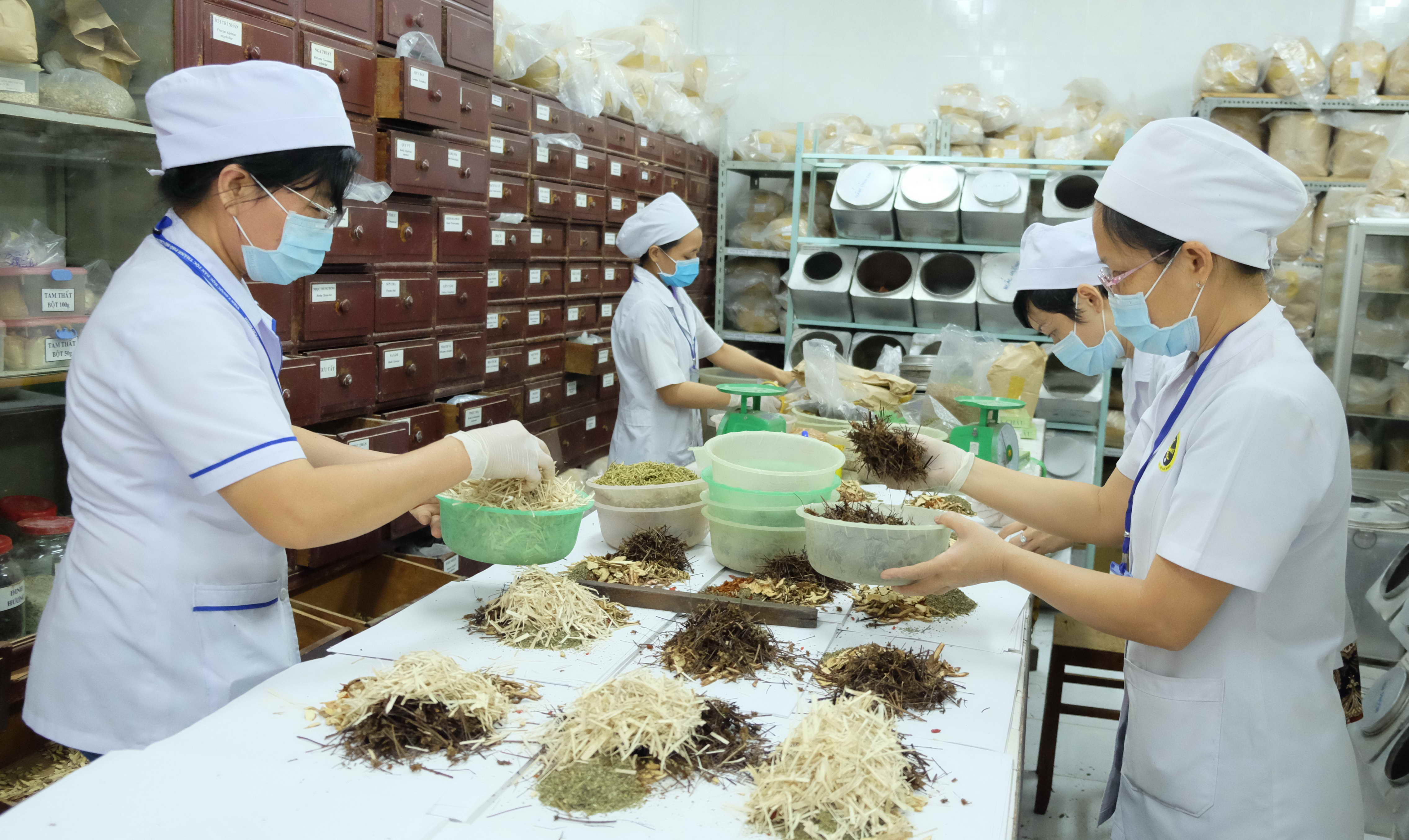 Implementation plan for development of Vietnamese traditional medicine in the new phase under Conclusion 86-KL/TW