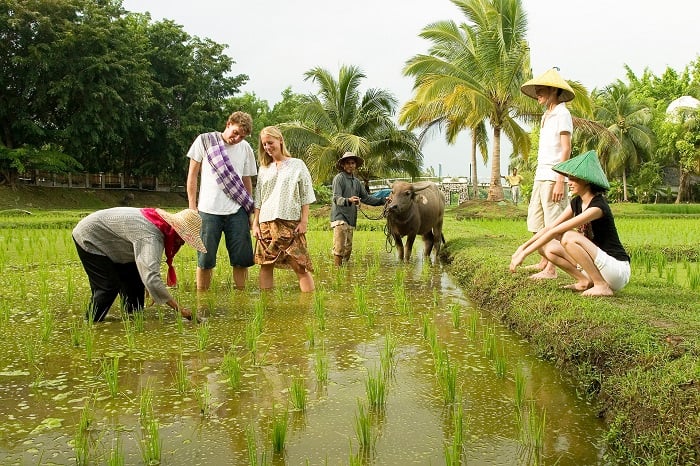 Developing a code of conduct at community tourism locations in Vietnam