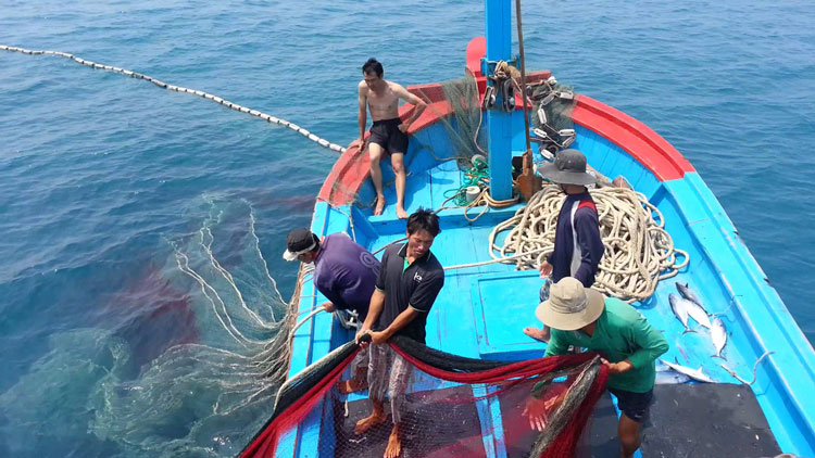 What are acts of illegal fishing in Vietnam?