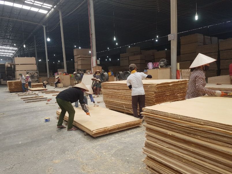 Thủ tục cấp giấy phép FLEGT mới nhất