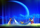 Cơ cấu tổ chức của đơn vị sự nghiệp công lập lĩnh vực nghệ thuật biểu diễn cấp tỉnh từ 15/01/2025