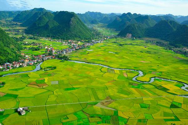 Intensifying the urging of state budget revenue collection for land-related receivables in the final month of 2024 in Vietnam