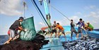 Chấn chỉnh công tác cấp giấy chứng nhận thủy sản khai thác địa phương