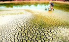 Thủ tướng yêu cầu chủ động phòng chống hạn hán, thiếu nước, xâm nhập mặn