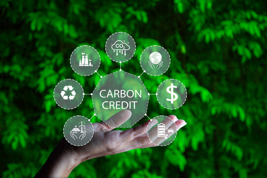 Research, development, and establishment of a carbon credit trading exchange in Vietnam