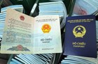 Grounds on renunciation of Vietnamese nationality