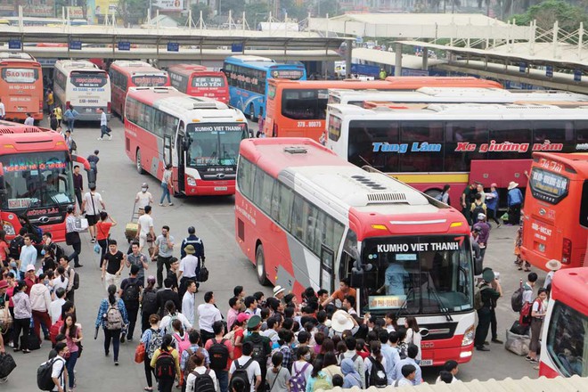 08 cases of revocation of road transport business licenses by automobile without time limit in Vietnam from January 01, 2025