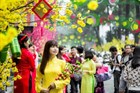 Schedule for Lunar New Year holiday in 2025 in Da Nang