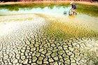 Official Telegram 15: Requirement for accurate updates on the saltwater intrusion situation in areas in Vietnam