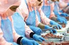 Hồ sơ đề nghị cấp giấy chứng nhận đối với thực phẩm xuất khẩu từ 07/03/2025