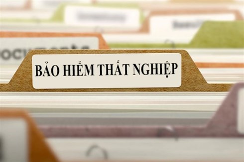 Thủ tục tham gia bảo hiểm thất nghiệp lịch trực tiếp bóng đá hôm nay nhất 2025
