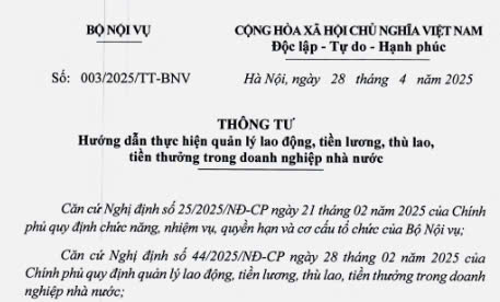 Toàn văn Thông tư 003/2025/TT-BNV hướng dẫn tiền lương, thù lao, tiền thưởng trong doanh nghiệp nhà nước