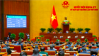 Hình thức xử lý văn bản quy phạm pháp luật được rà soát 2025