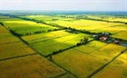 Rà soát quy định trong lĩnh vực đất đai khi tổ chức chính quyền địa phương 02 cấp