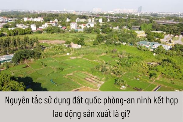 Nguyên tắc sử dụng đất quốc phòng-an ninh kết hợp lao động sản xuất là gì?