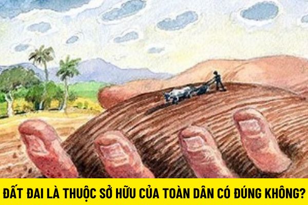 thuviennhadat.vn