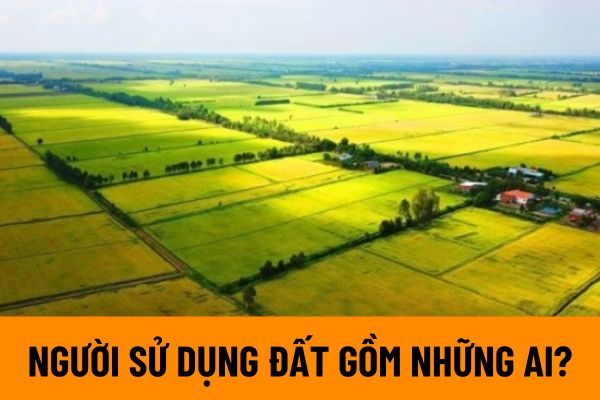 thuviennhadat.vn