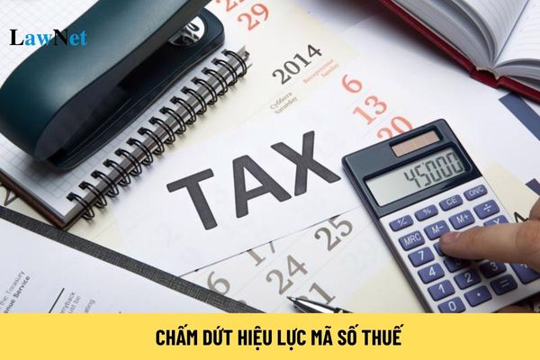 chấm dứt hiệu lực mã số thuế