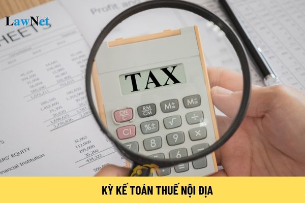 Domestic Tax Accounting Period