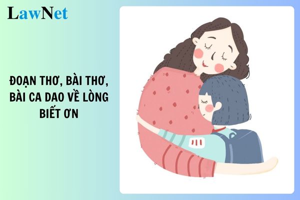 30+ đoạn thơ, bài thơ về lòng biết ơn hoặc bài ca dao về lòng biết ơn? Yêu cầu thực hành viết môn Tiếng Việt lớp 4?