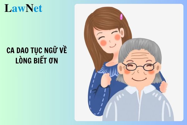 Tổng hợp ca dao tục ngữ về lòng biết ơn có giải thích ý nghĩa? Yêu cầu hoạt động giáo dục lớp 4?