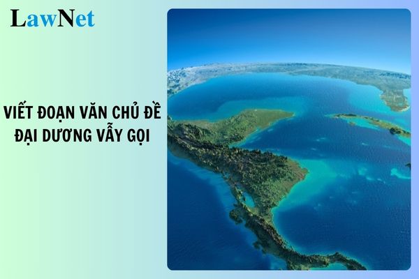 Top 10 mẫu viết đoạn văn chủ đề Đại dương vẫy gọi? Học sinh lớp 7 được khen thưởng dựa vào đâu?