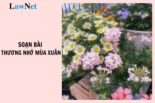 Soạn bài Thương nhớ mùa xuân lớp 11 ngắn gọn, đầy đủ? Điều kiện để học sinh lớp 11 được lên lớp là gì?