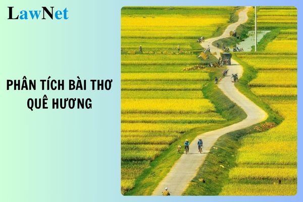 Tổng ăn ý hình mẫu phân tách bài bác thơ Quê hương thơm của Đỗ Trung Quân cộc gọn gàng, ý nghĩa? Các đòi hỏi vô cải tiến và phát triển năng lượng văn học tập lớp 8?