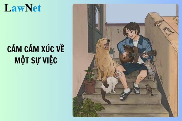 Top 7 Samples of Writing Paragraphs Expressing Feelings About an Event for Grade 5, Volume 2? How Many Weeks of Summer Vacation Do Grade 5 Vietnamese Language Teachers Get?