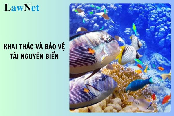 Top 3 bài nói về đề tài khai thác và bảo vệ tài nguyên biển? Thẩm quyền chọn sách giáo khoa môn Ngữ văn lớp 7?