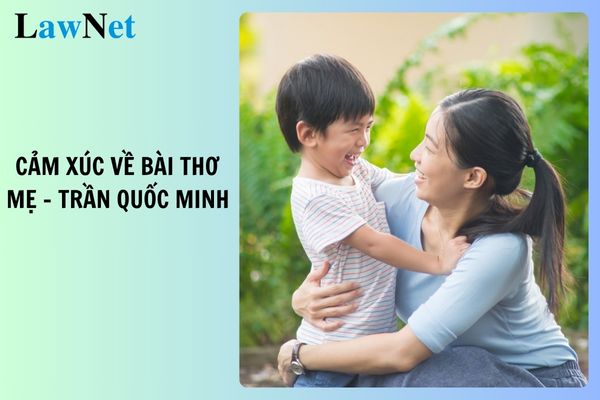 Mẫu viết đoạn văn ghi lại cảm xúc về bài thơ mẹ của Trần Quốc Minh? Quy định về nhiệm vụ của học sinh lớp 6?