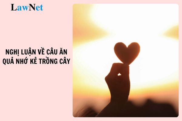 Top 3 viết bài văn nghị luận về câu tục ngữ ăn quả nhớ kẻ trồng cây ngắn gọn? Trách nhiệm đánh giá học sinh lớp 7 của giáo viên môn Ngữ văn? 