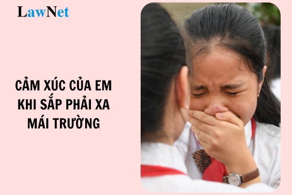 Top mẫu viết một đoạn văn từ 7 đến 9 câu nói lên cảm xúc của em khi sắp phải xa mái trường tiểu xem bóng đá trực tiếp nhà cái?