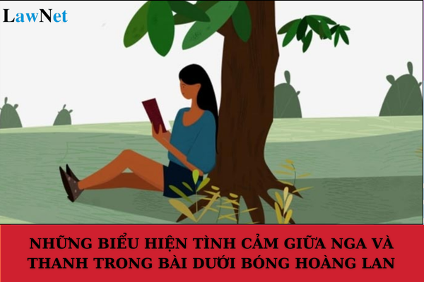 Analysis of Emotional Expressions Between Nga and Thanh in the Story "Under the Canopy of the Ylang-ylang Tree"? What Rights Do Grade 10 Students Have?