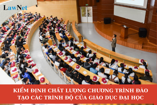 Toàn văn Thông tư 04 2025 về kiểm định chất lượng chương trình đào tạo các trình độ của giáo dục đại học?