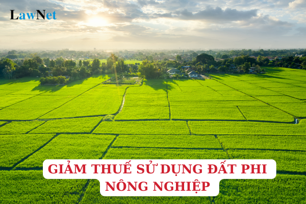 Is it possible to get a reduction in non-agricultural land use tax for homestead land within the limit of a martyr's child?