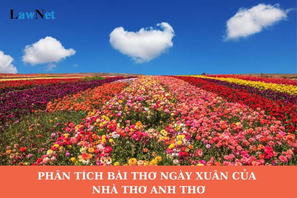 Mẫu phân tích bài thơ Ngày xuân của nhà thơ Anh Thơ lớp 9? Học sinh lớp 9 có nhiệm vụ như thế nào?