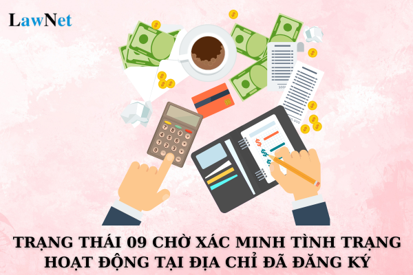 When Will a Taxpayer's Tax Identification Number Be Transitioned to Status 09 Pending Verification of Activity at the Registered Address?