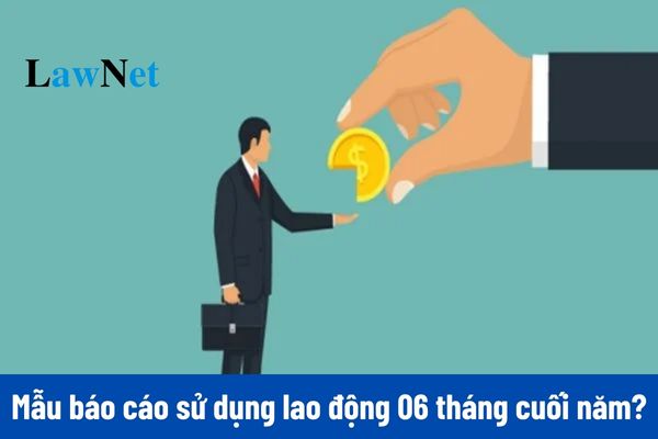 Mẫu Báo cáo sử dụng lao động 06 tháng cuối năm 2024?