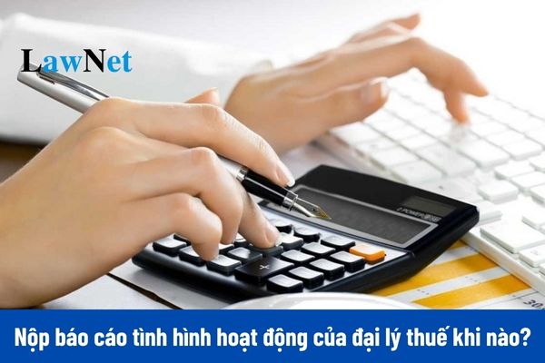 Hạn chót nộp báo cáo tình hình hoạt động của đại lý thuế 2024 là khi nào?