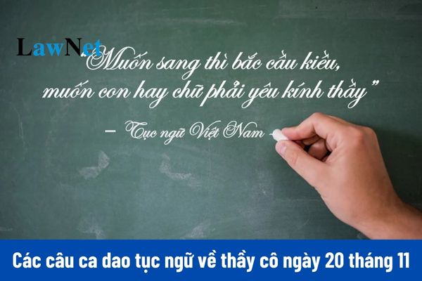 Tổng hợp các câu ca dao tục ngữ về thầy cô ngày 20 tháng 11 hay, ý nghĩa năm 2024?