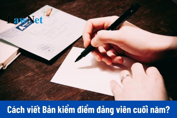 Cách viết kết quả khắc phục những hạn chế khuyết điểm trong bản kiểm điểm đảng viên cuối năm 2024 mẫu 2A?