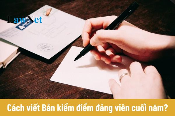 Bản kiểm điểm đảng viên cuối năm 2024?