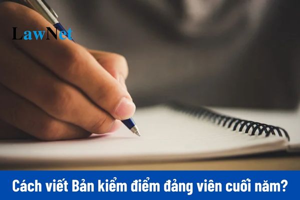 Cách viết phần làm rõ trách nhiệm của cá nhân đối với những hạn chế của tập thể trong Bản kiểm điểm cá nhân đảng viên cuối năm 2024? 