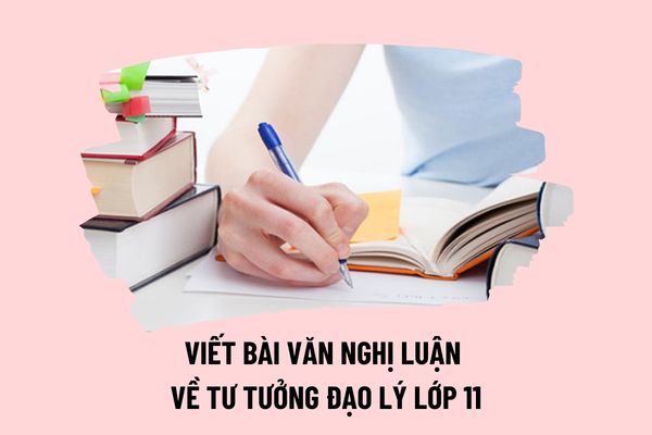 Pháp luật