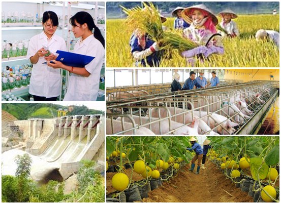 Dự án nông nghiệp khuyến khích đầu tư là gì?